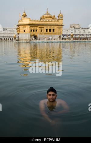 Sikh Mann taucht in den Gewässern – Sarovar (Wassertank) – um den goldenen Tempel (Sri Harmandir Sahib) Amritsar. Punjab. Indien Stockfoto