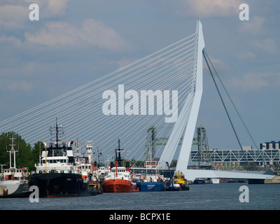 Rotterdam-Brücken mit Erasmus Hängebrücke vor und die alte heben Brücke in den Rücken Stockfoto