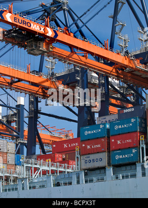 Verladung von Containern im Hafen von Rotterdam Zuid Holland Niederlande Stockfoto