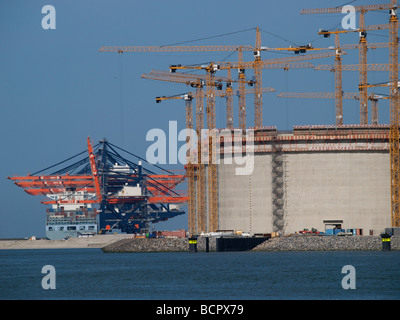 Öl-Speicher Behälterbau im Gange mit vielen Kräne und neuen Containerterminals im Hintergrund Rotterdam Maasvlakte 2 Stockfoto