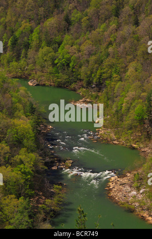 Blick vom East Rim Overlook Big South Fork National River und Recreation Area Oneida Tennessee Stockfoto