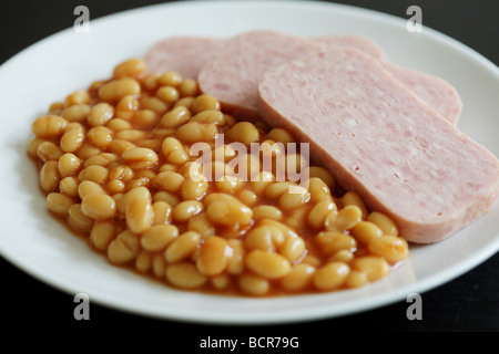 Spam mit Baked Beans Stockfoto