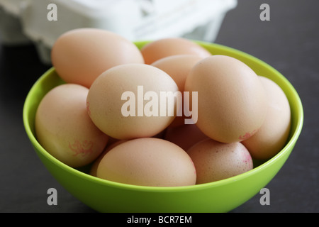 Schale mit frischem braune Eier aus Freilandhaltung Ohne Menschen Stockfoto