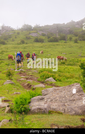 Wanderer auf Appalachian Trail Rhododendron Lücke Mount Rogers National Recreation Area Virginia Stockfoto