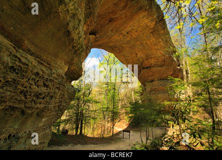 Zwei Bögen Big South Fork National River und Recreation Area Tennessee Stockfoto