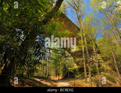 Zwei Bögen Big South Fork National River und Recreation Area Tennessee Stockfoto