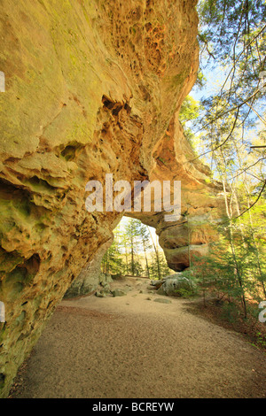 Zwei Bögen Big South Fork National River und Recreation Area Tennessee Stockfoto