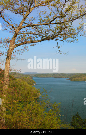 Dale Hollow Lake State Park Resort Burkesville Kentucky Stockfoto