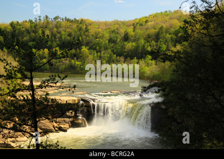 Blick auf Cumberland Wasserfälle von Eagle Falls Trail Cumberland Falls State Resort Park Corbin Kentucky Stockfoto