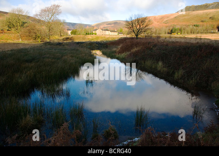 Blick auf Crowden Bach an Crowden in Longdendale im Peak District in Derbyshire Stockfoto