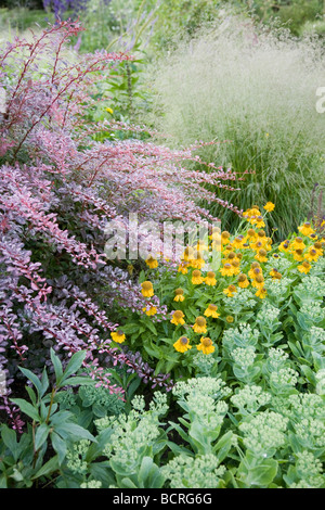 Pastellfarben in krautigen Grenze, im Land Hausgarten, Berkshire. Stockfoto