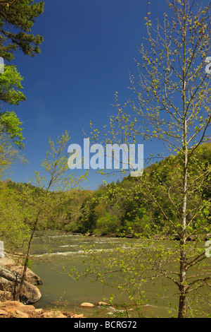 Cumberland River in Cumberland Falls State Park Corbin Kentucky Stockfoto