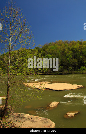 Cumberland River in Cumberland Falls State Park Corbin Kentucky Stockfoto