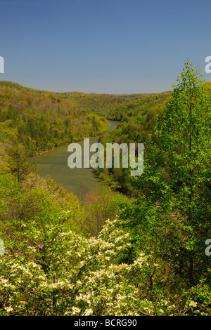 Blick auf Cumberland River Schlucht von Terrasse des Dupont Lodge in Cumberland Falls State Resort Park Corbin Kentucky Stockfoto