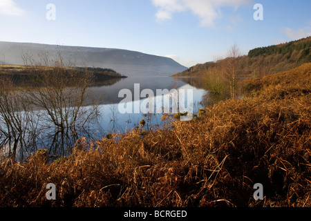 Ansicht des Torside Reservoirs an einem noch Wintertag im Longdendale Tal im Peak District in Derbyshire Stockfoto