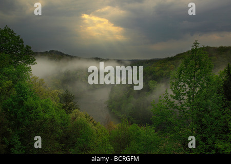 Nebligen Sonnenaufgang Cumberland River Schlucht von Terrasse des Dupont Lodge in Cumberland Falls State Resort Park Corbin Kentucky Stockfoto