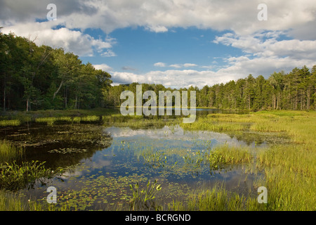 Teich auf Rondaxe Straße in der Nähe von Old Forge in der Adirondack Mountains von New York zu fliegen Stockfoto