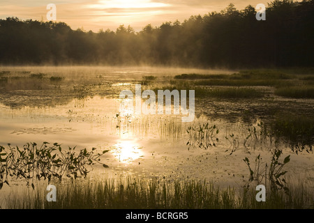 Morgennebel auf fliegen Teich auf Rondaxe Straße in der Nähe von Old Forge in den Adirondack Mountains of New York Stockfoto