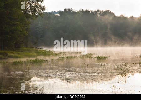 Morgennebel auf fliegen Teich auf Rondaxe Straße in der Nähe von Old Forge in den Adirondack Mountains of New York Stockfoto