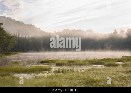 Morgennebel auf fliegen Teich auf Rondaxe Straße in der Nähe von Old Forge in den Adirondack Mountains of New York Stockfoto