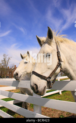 Arbeitest du Shaker Village of Pleasant Hill unsere Kentucky für Pferde Stockfoto