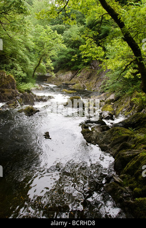 Welsh Fluss, der durch einen von Bäumen gesäumten Tal Stockfoto