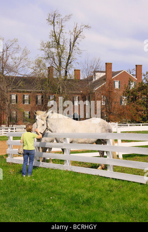 Touristischen Haustiere arbeiten Pferde im Shaker Village von Pleasant Hill unsere Kentucky Stockfoto