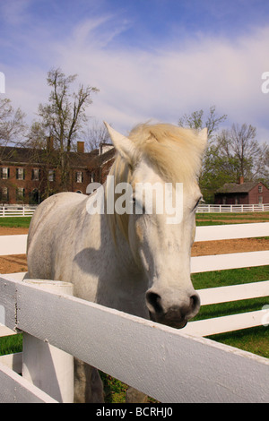 Arbeitest du Shaker Village of Pleasant Hill unsere Kentucky für Pferde Stockfoto