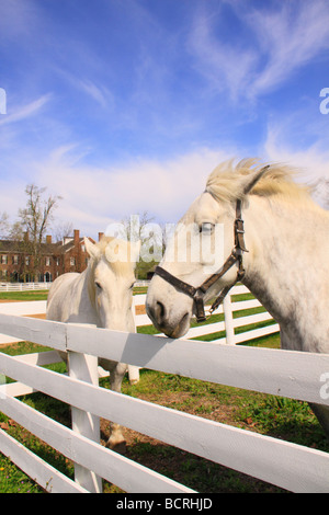 Arbeitest du Shaker Village of Pleasant Hill unsere Kentucky für Pferde Stockfoto