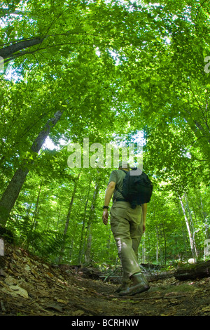 Fisheye Ansicht aus einem niedrigen Winkel auf dem Boden des Menschen wandern in den Adirondack Mountains of New York Stockfoto
