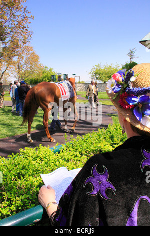 Zuschauer beobachten Vollblüter Aufwärmen im Fahrerlager vor dem Rennen in Keeneland Race Course Lexington Kentucky Stockfoto