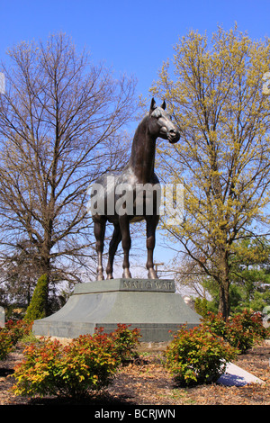 Mann O Krieg Memorial Kentucky Horse Park Lexington Kentucky Stockfoto