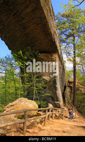 Wanderer auf Trail am unteren Rand der natürliche Brücke Natural Bridge State Resort Park Slade Kentucky Stockfoto