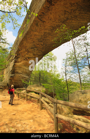 Wanderer auf Trail am unteren Rand der natürliche Brücke Natural Bridge State Resort Park Slade Kentucky Stockfoto