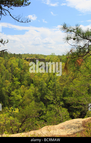 Blick auf die natürliche Brücke von Lookout Point Natural Bridge State Resort Park Slade Kentucky Stockfoto