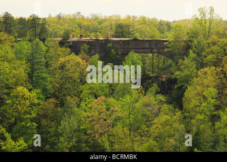 Blick auf die natürliche Brücke von Lookout Point Natural Bridge State Resort Park Slade Kentucky Stockfoto