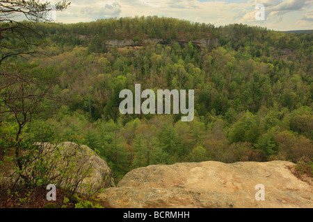 Blick ins Teufel s Canyon Red River Gorge geologischen Bereich Slade Kentucky Stockfoto