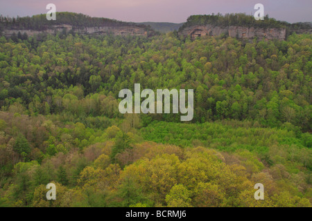 Blick vom Schornstein Top Rock Red River Gorge geologischen Bereich Slade Kentucky Stockfoto