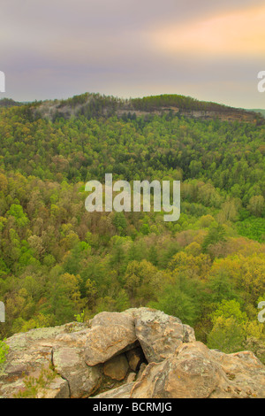 Blick vom Schornstein Top Rock Red River Gorge geologischen Bereich Slade Kentucky Stockfoto