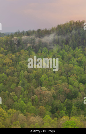 Blick vom Schornstein Top Rock Red River Gorge geologischen Bereich Slade Kentucky Stockfoto