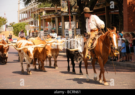 Almabtrieb mit Cowboys in Stockyards in Fort Worth, Texas, USA Stockfoto