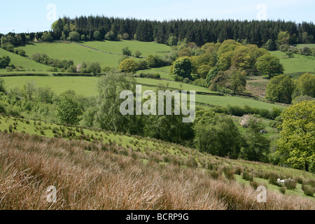 Ackerland und Wald See Vyrnwy, Powys, Wales, UK Stockfoto