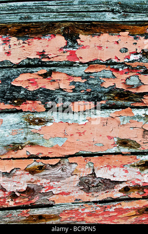 Abblätternde Farbe an der Seite der Rumpf eines alten, verlassenen Fischerboot auf mersea Island in Essex. Stockfoto