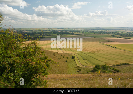 Kornkreise in der Nähe von Milk Hill auf den Pewsey Downs in der Nähe von Marlborough Wiltshire Uk Stockfoto