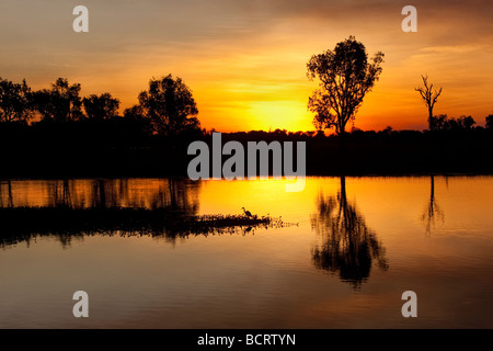 Ein Reiher Angeln bei Sonnenuntergang am Yellow Water Billabong, Kakadu-Nationalpark Stockfoto