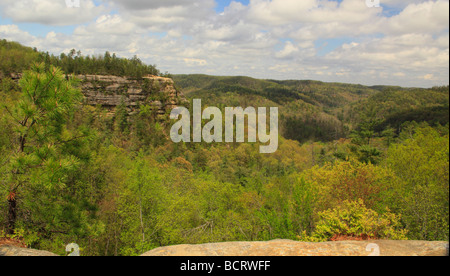 Blick vom Lookout Point Natural Bridge State Resort Park Slade Kentucky Stockfoto