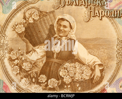 Frau, die Ernte Rosen auf 50 Lev 1951 Banknote aus Bulgarien Stockfoto