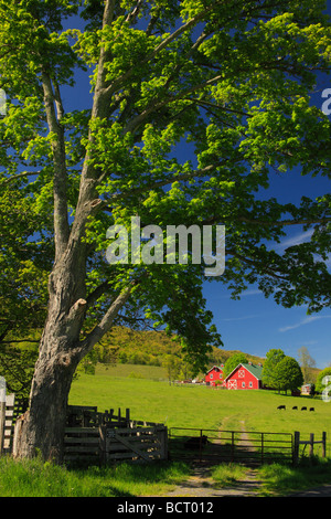 Bauernhof in West Highland County Virginia Stockfoto