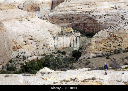 Wanderer in der Grand Treppe Escalante National Monument in Utah mit dem Escalante River Canyon im Hintergrund Stockfoto