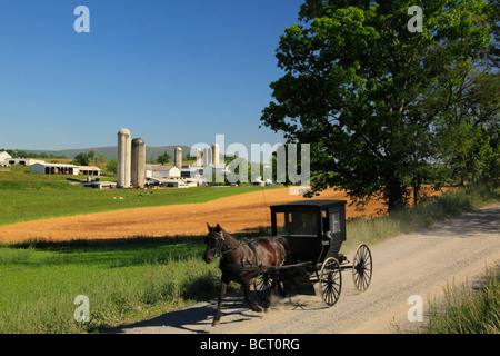 Mennonite Buggy auf Straße in der Nähe von Dayton im Shenandoah Valley Virginia Stockfoto